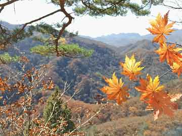 打胎药全国包邮微信泛海控股披露重大诉讼进展公告，涉及民生银行17.8亿元融资